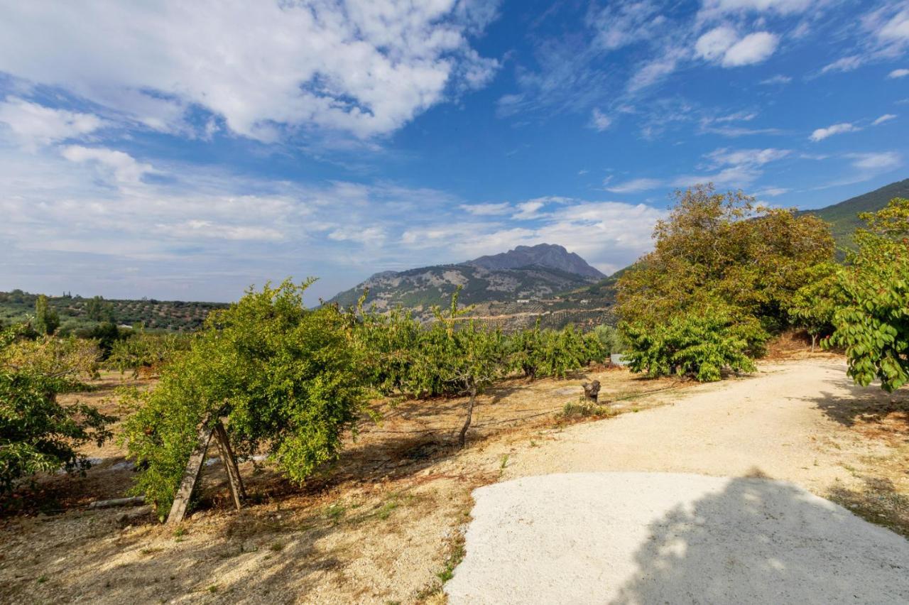 Casa Jurinea Alzar Villa Torres  Kültér fotó