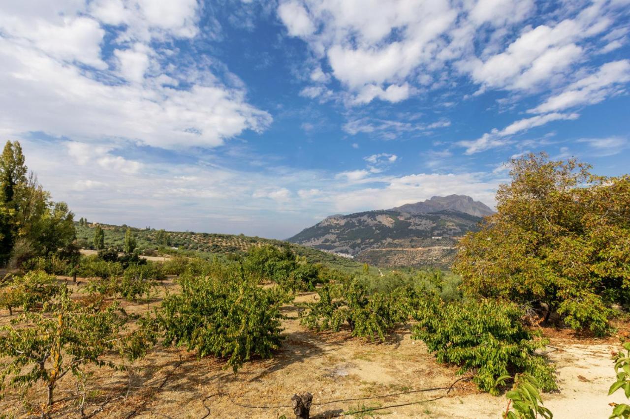 Casa Jurinea Alzar Villa Torres  Kültér fotó