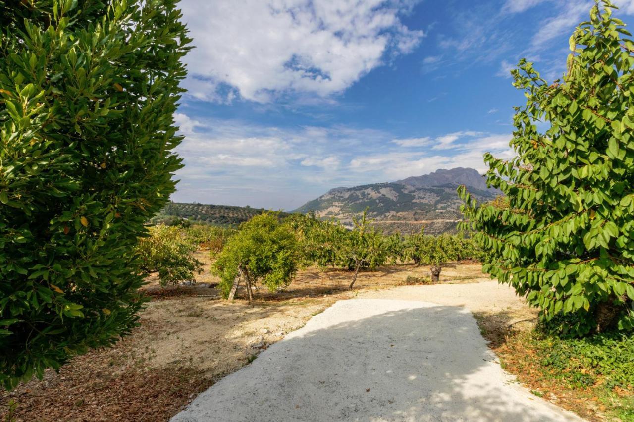 Casa Jurinea Alzar Villa Torres  Kültér fotó