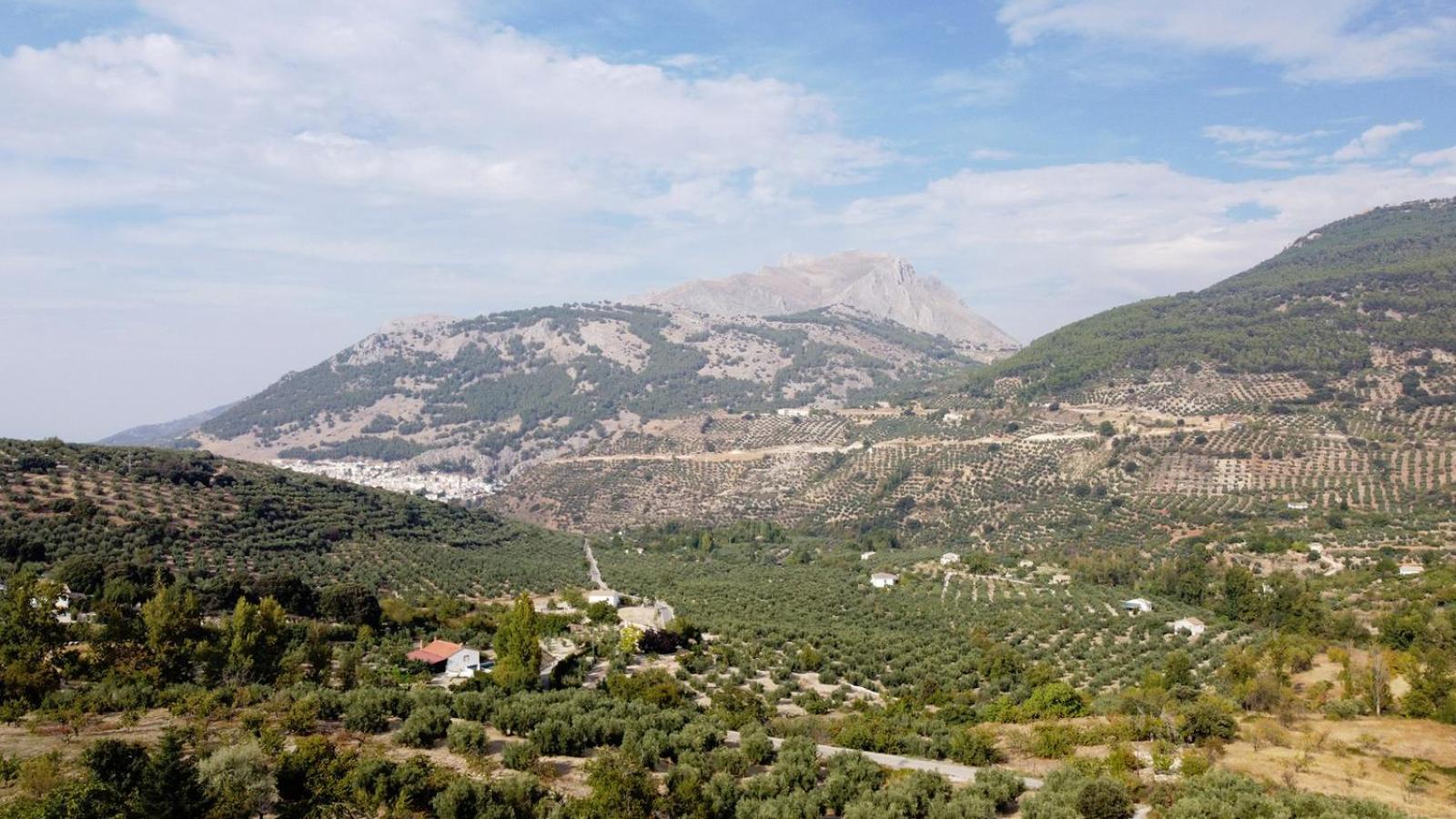 Casa Jurinea Alzar Villa Torres  Kültér fotó
